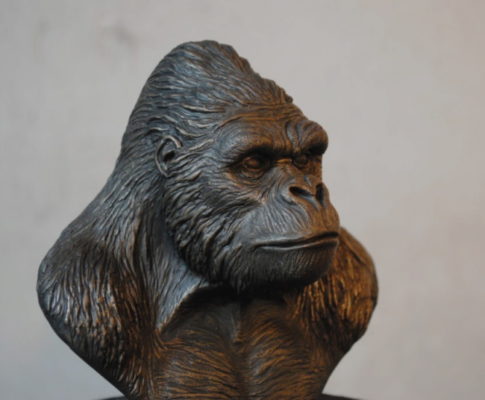 Specializing in custom portraits, sculpted museum quality figures and natural history models.